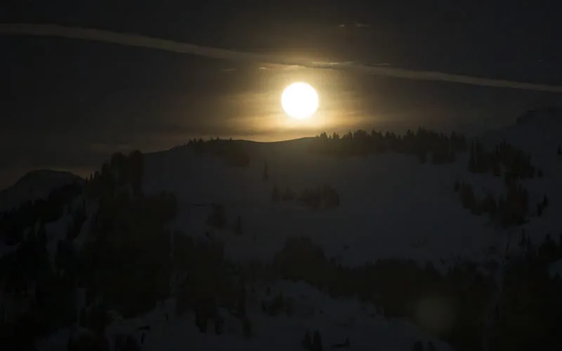 vup24_manfred_stromberg0872verbessertnr.jpg